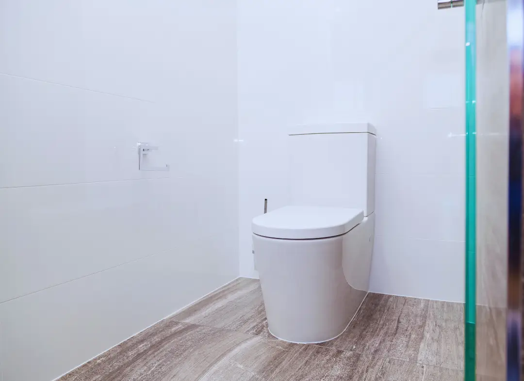 Remplacement de wc Rousson