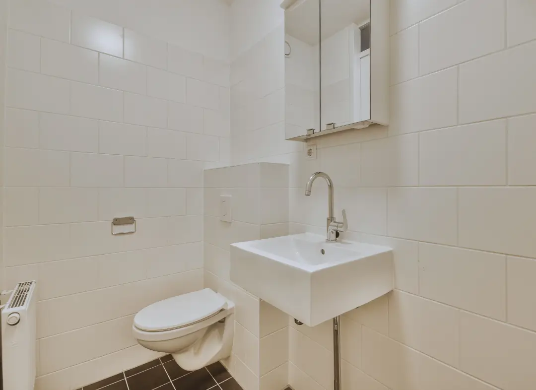 Pose WC Suspendu Rousson